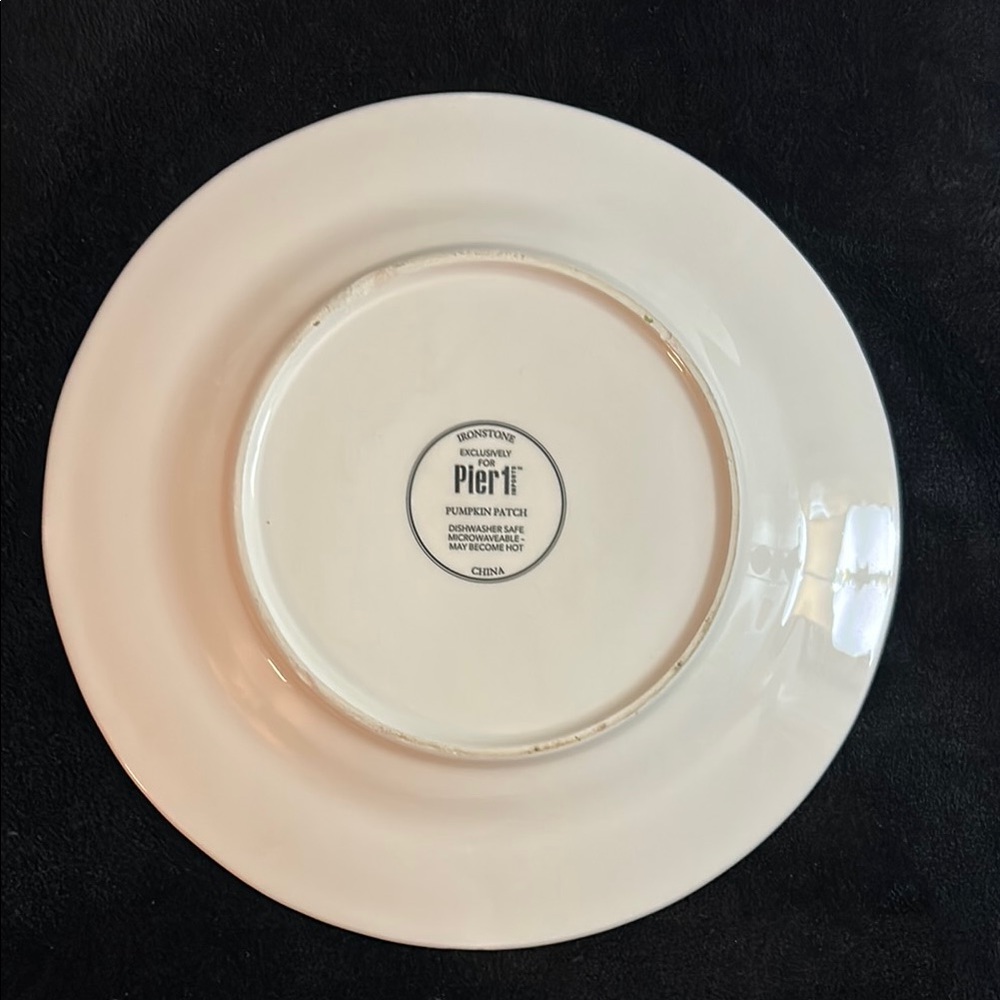 PIER 1 PUMPKIN PATCH PLATE - Picture 4 of 9